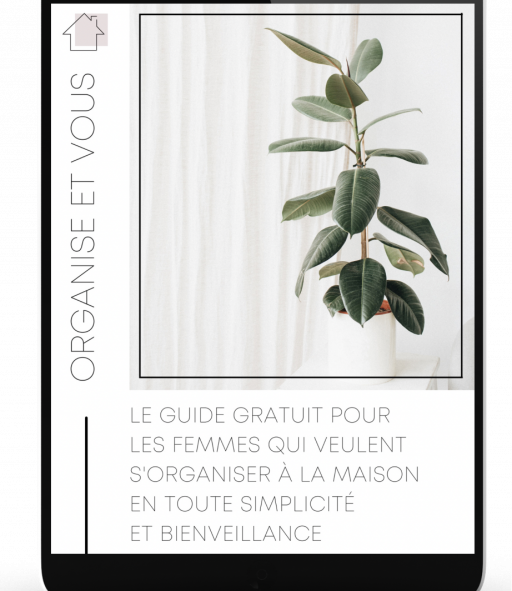 Organiseetvous challenge routines 7 jours